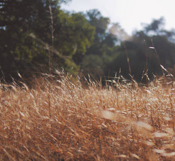 斯洛伐克大胜塞尔维亚，豪取连胜向着晋级前进